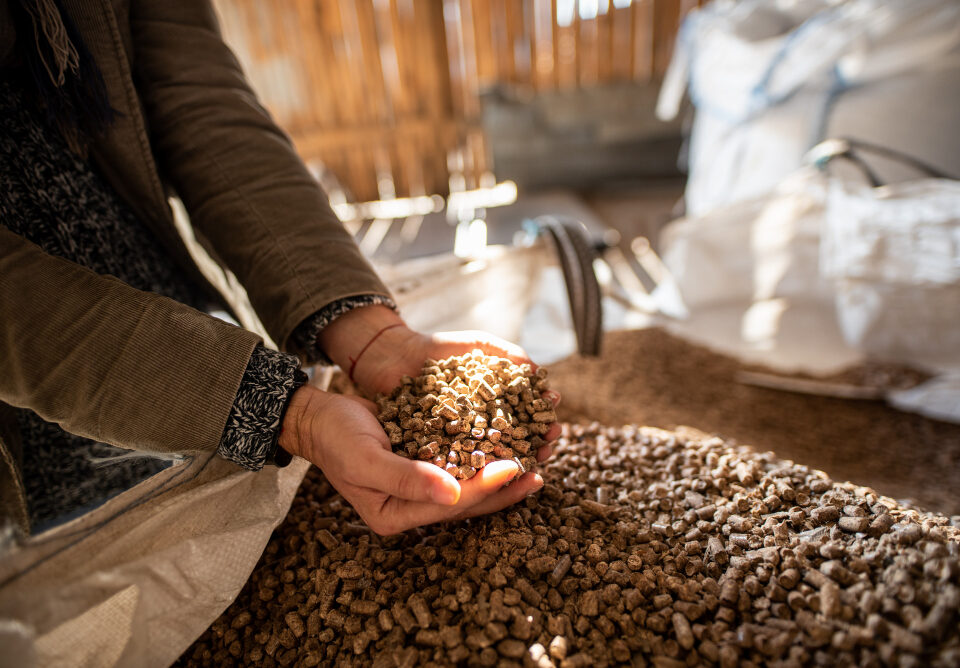 Stufe a pellet usate