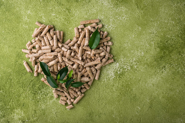 caldaia-a-legna-e-pellet-2