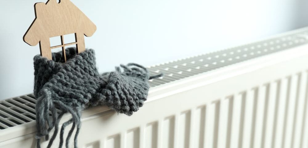 come-regolare-una-caldaia-a-biomassa