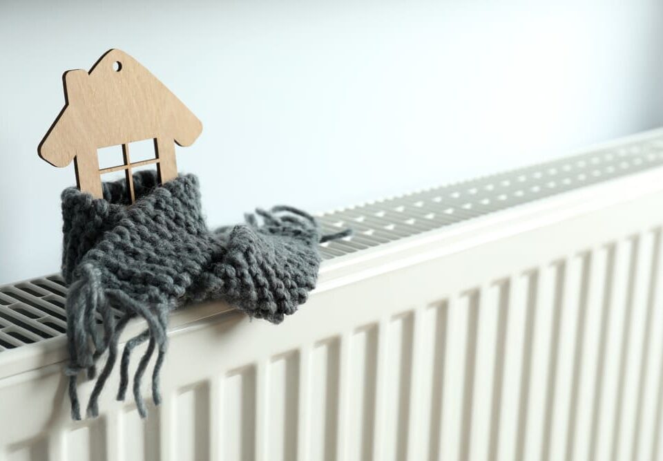 come-regolare-una-caldaia-a-biomassa