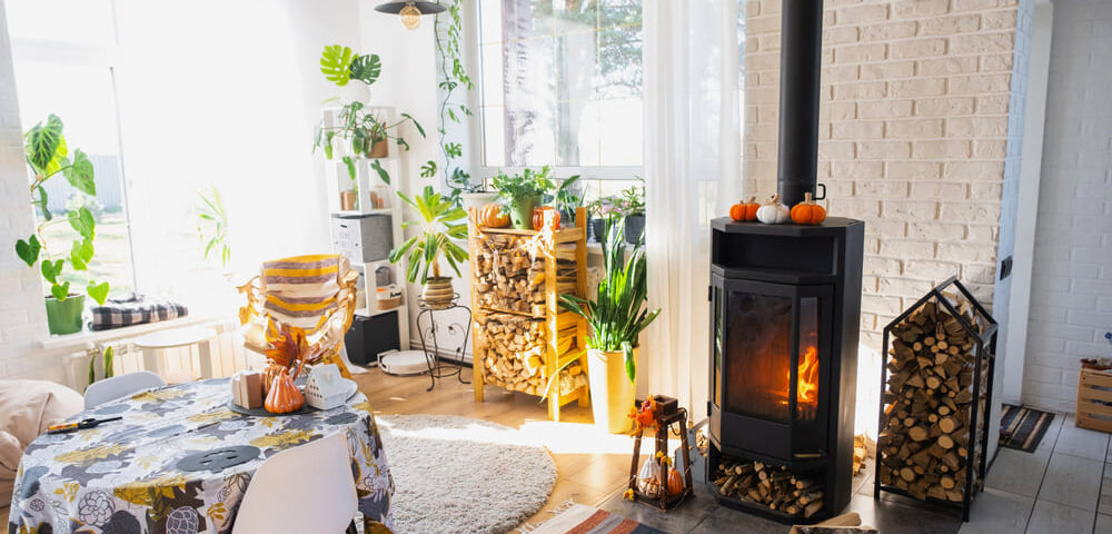 riscaldamento biomassa