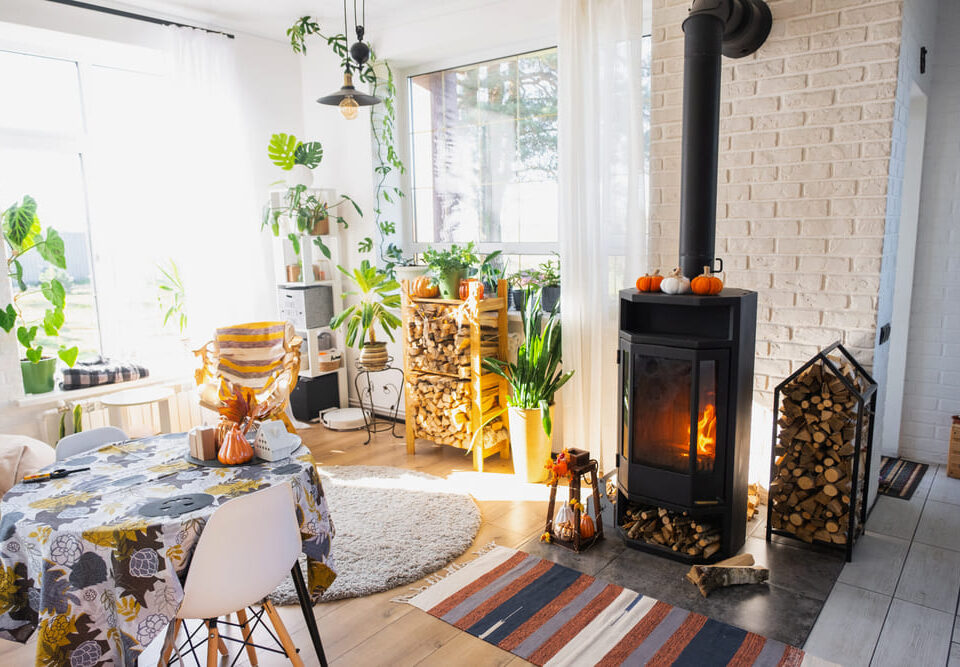 riscaldamento biomassa