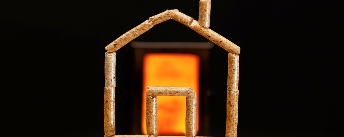 caldaie a biomassa policombustibile