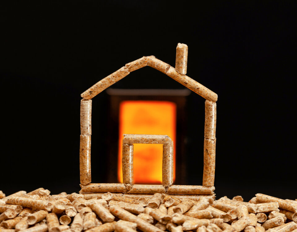 caldaie a biomassa policombustibile