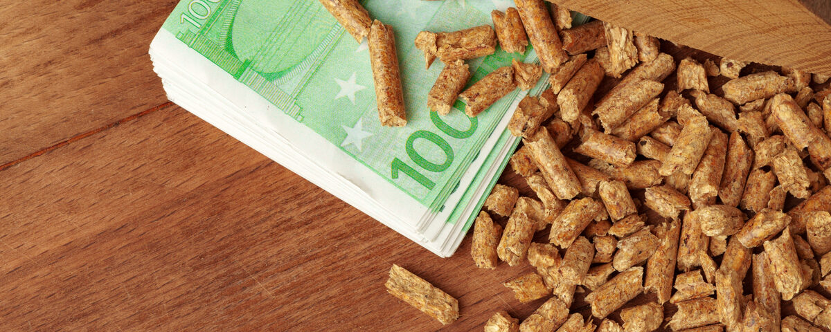 Biomasse energetiche