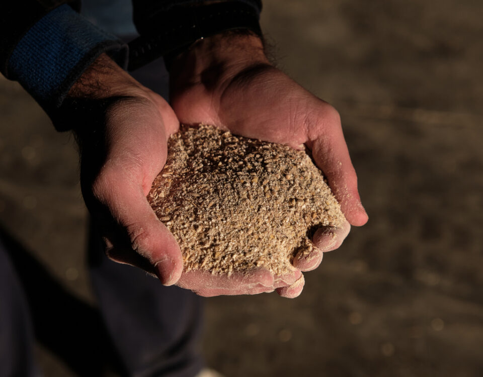 nocciolino di sansa disoleata