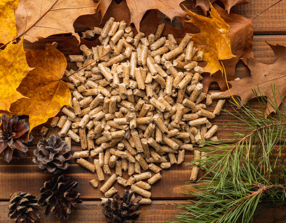 Pellets di biomassa