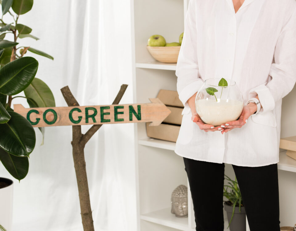 agricoltura sostenibile