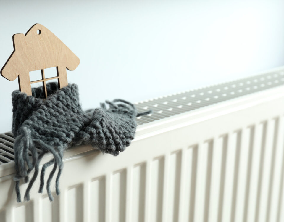 filiera corta delle biomasse