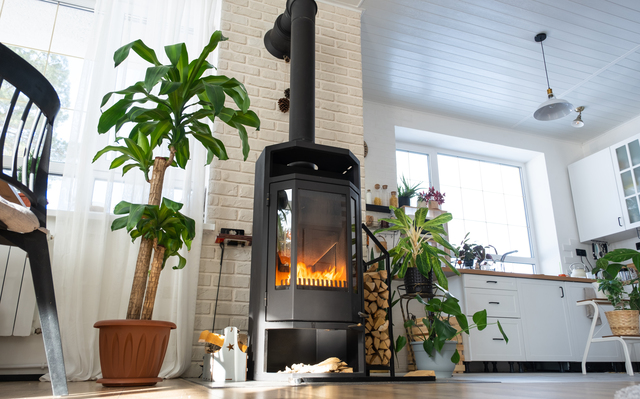 Caldaie a biomassa moderne