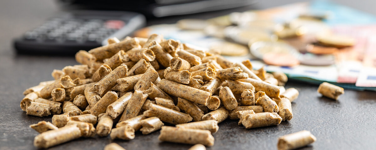 caldaia a biomassa 2025