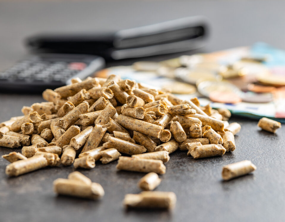 caldaia a biomassa 2025