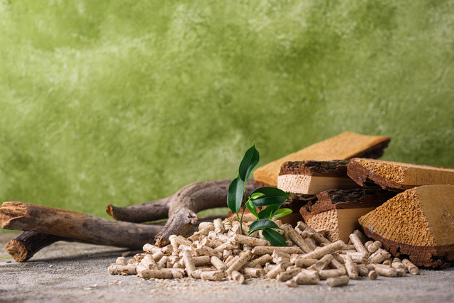 combustibili fossili