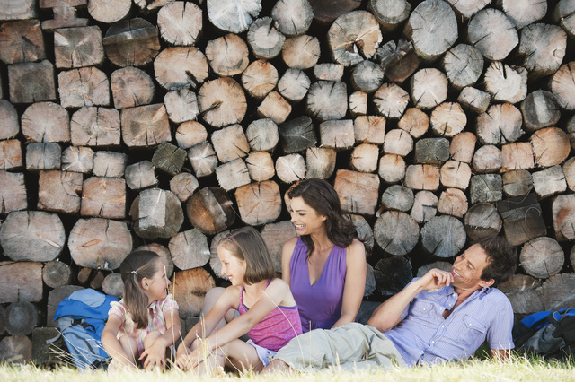 Consumo di combustibile