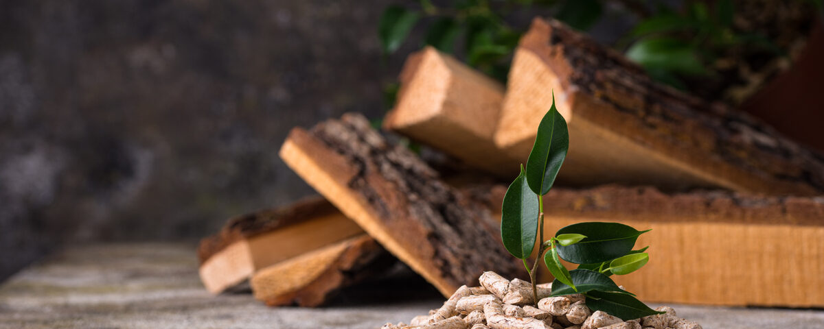 Riscaldamento a biomassa