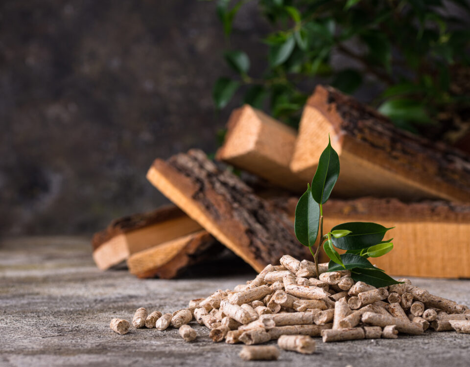 Riscaldamento a biomassa