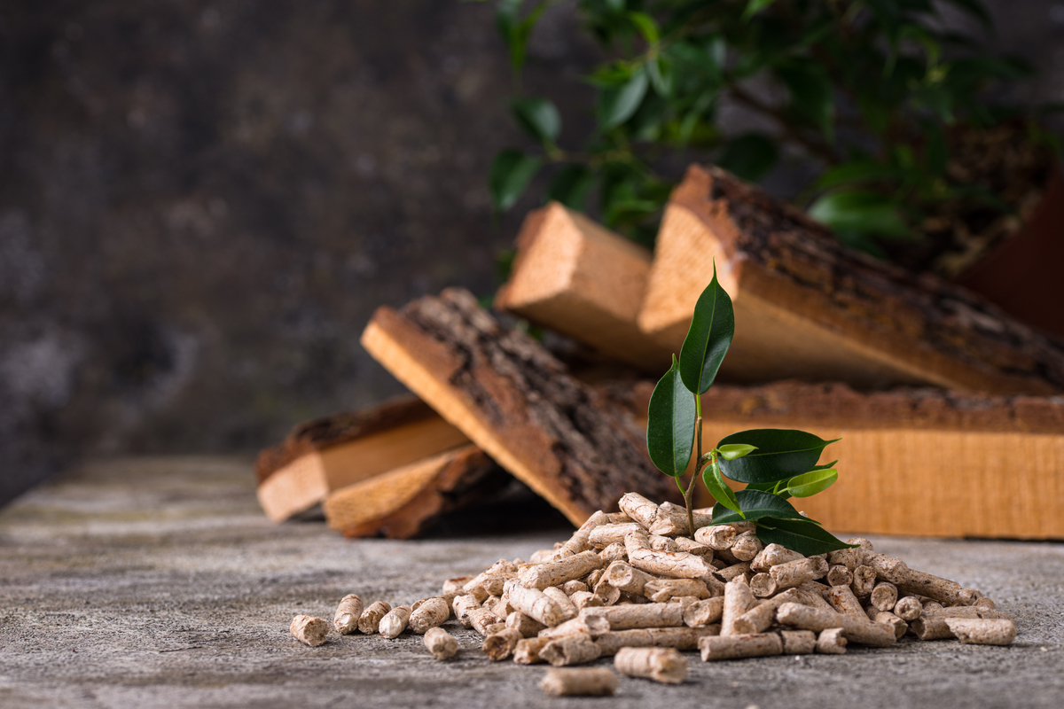 Riscaldamento a biomassa