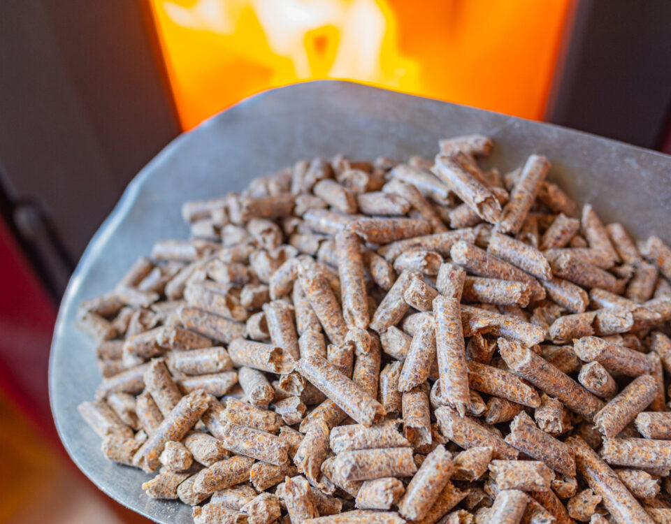 caldaia a pellet che fuma