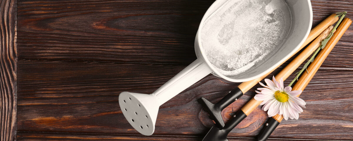 cenere della caldaia