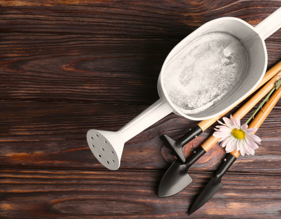 cenere della caldaia