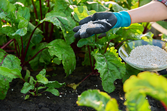 Cenere della caldaia