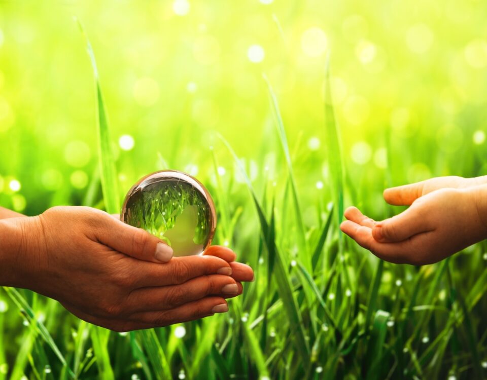 biomassa nello spazio