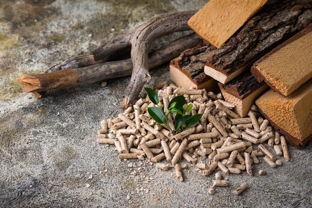 biomassa nello spazio