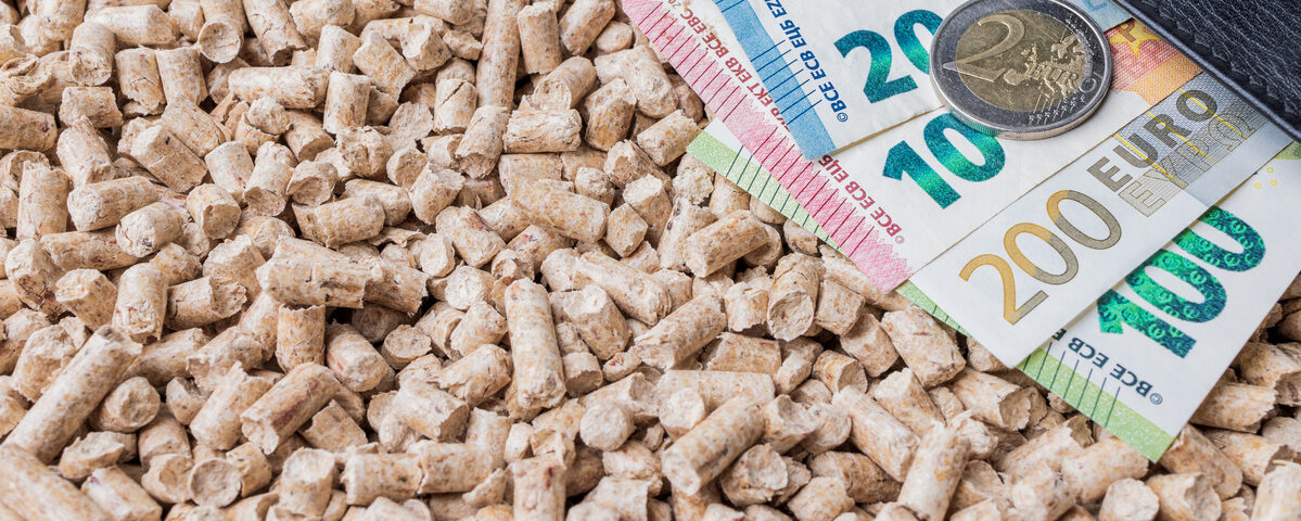 Il riscaldamento a biomassa