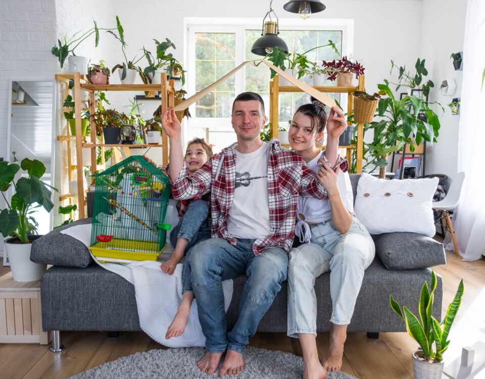 wellness domestico
