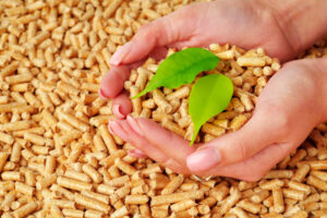 Primavera e caldaie a biomassa