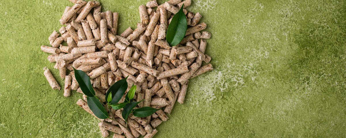 Primavera e caldaie a biomassa