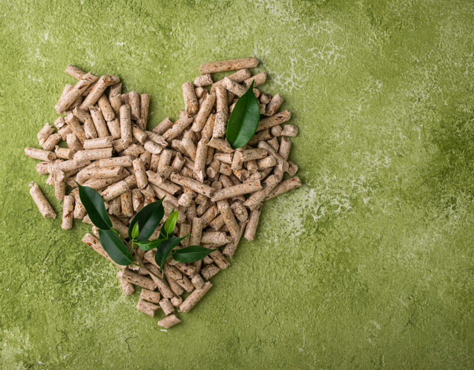 Primavera e caldaie a biomassa