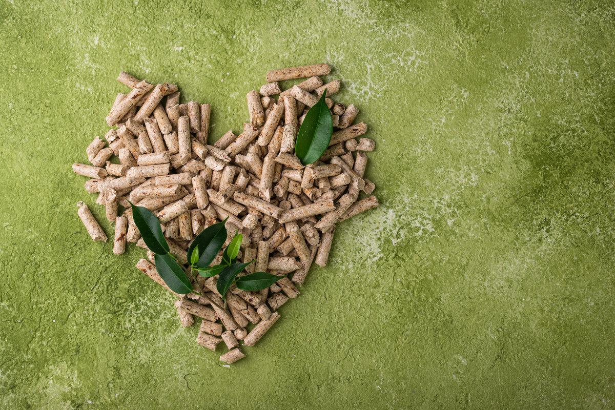 Primavera e caldaie a biomassa