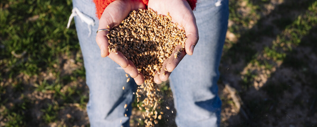 Conservare pellet e biomasse in estate