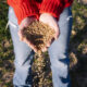 Conservare pellet e biomasse in estate